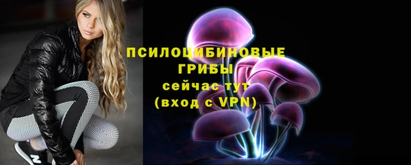 прущие крисы Новозыбков