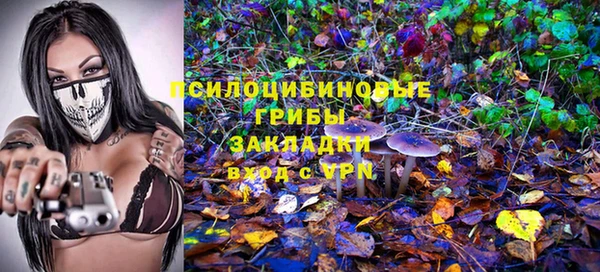 стафф Новокубанск