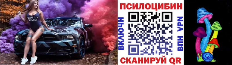 Псилоцибиновые грибы Magic Shrooms  цена   Поворино 
